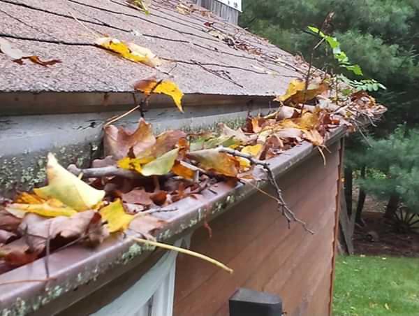 Greater St. Louis & Metro East clogged gutters