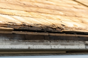 Roof Replacement Services in Greater St. Louis & Metro East